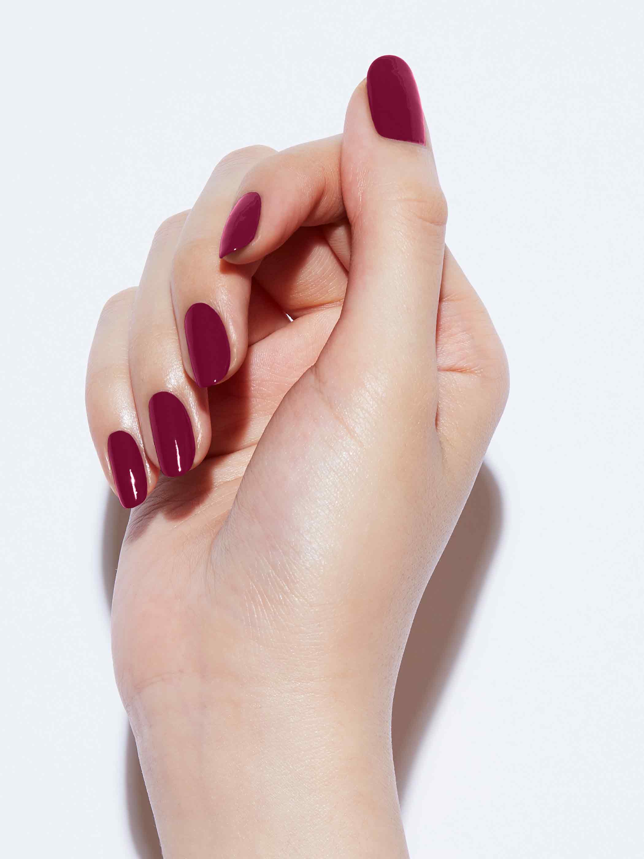 COURTESY CALL - Elevated Nails & Lashes
