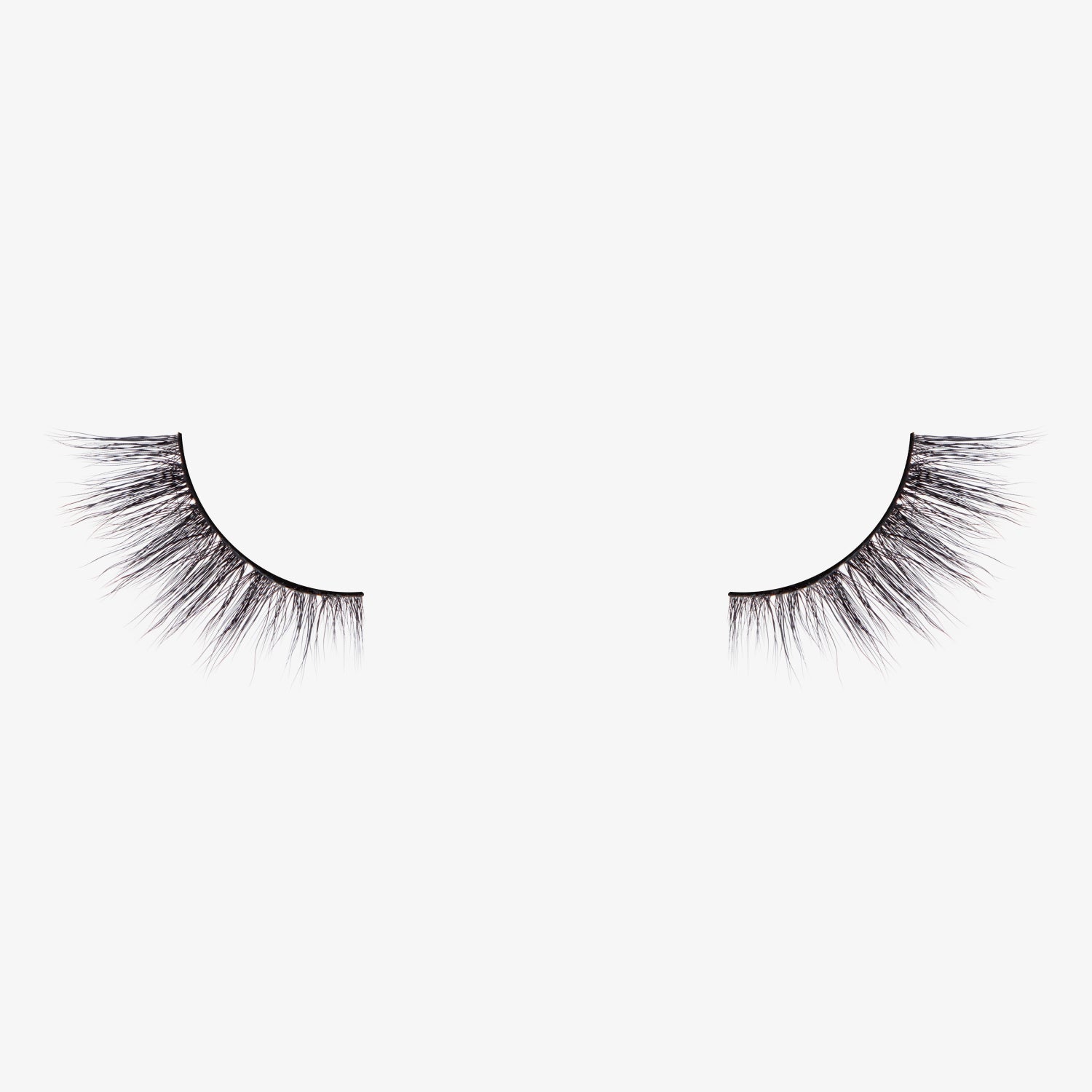 Daily Obsession 1 Daily Obsession