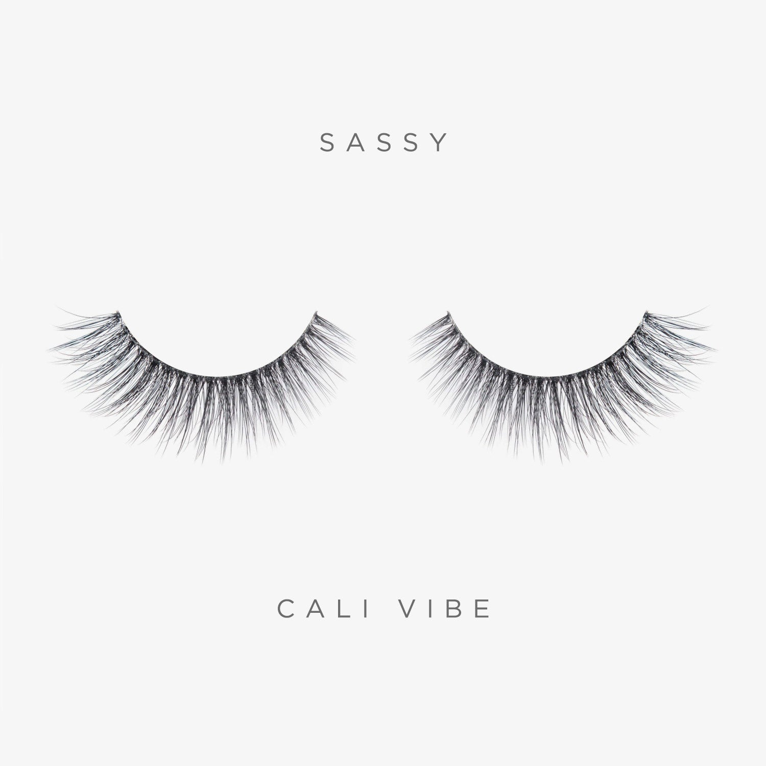 Daily Lash Trio 3 Daily Lash Trio