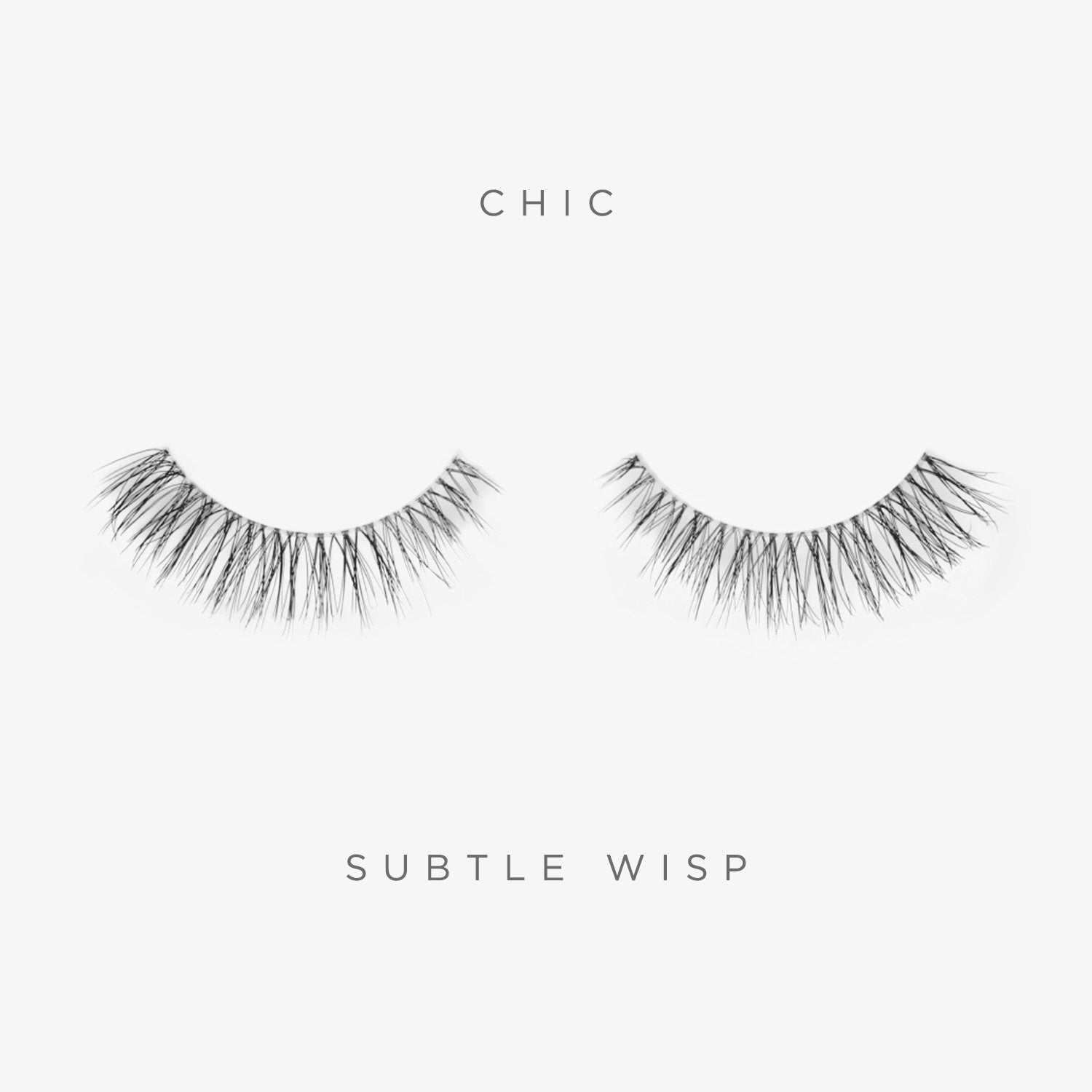 Daily Lash Trio 5 Daily Lash Trio