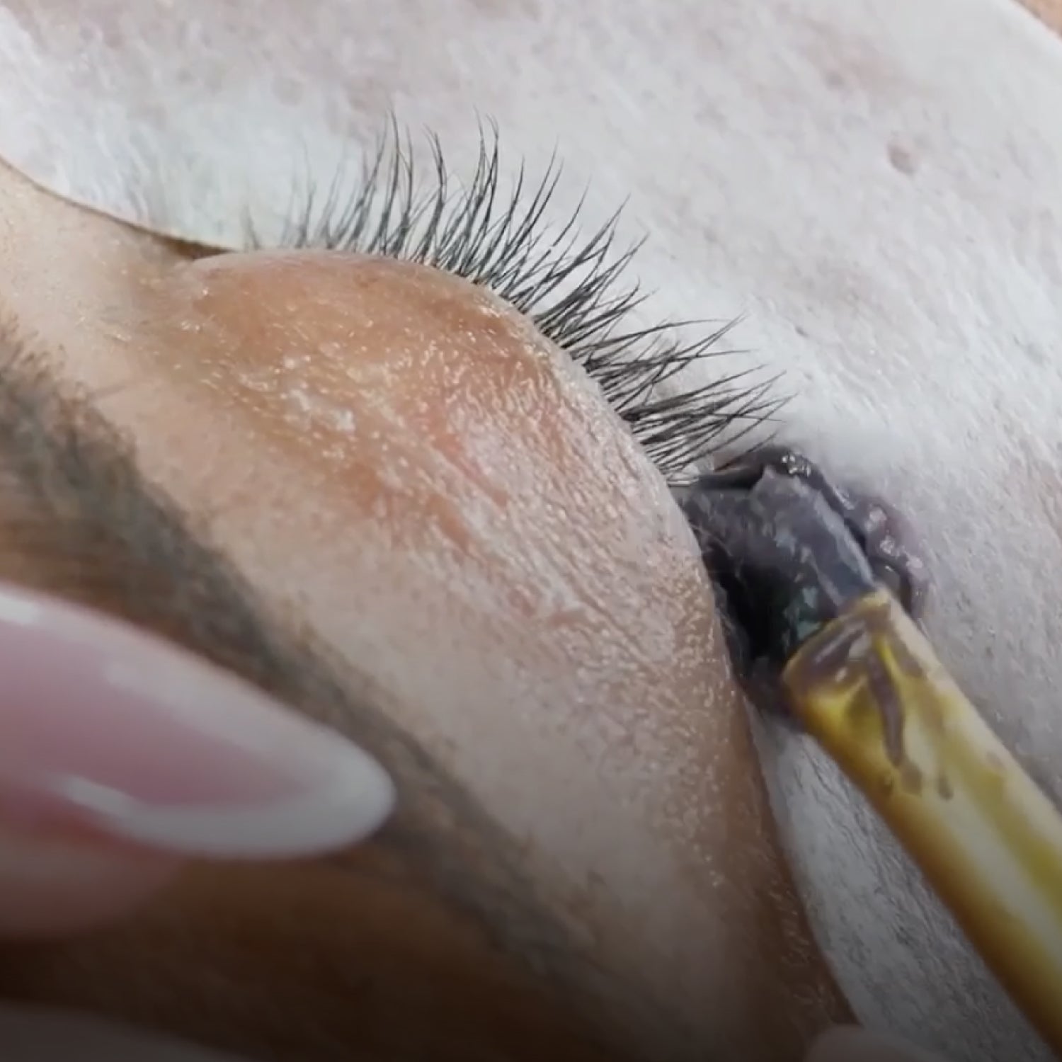 Online Lash & Brow Wax Training Course with Kit 2 Online Lash & Brow Wax Training Course with Kit